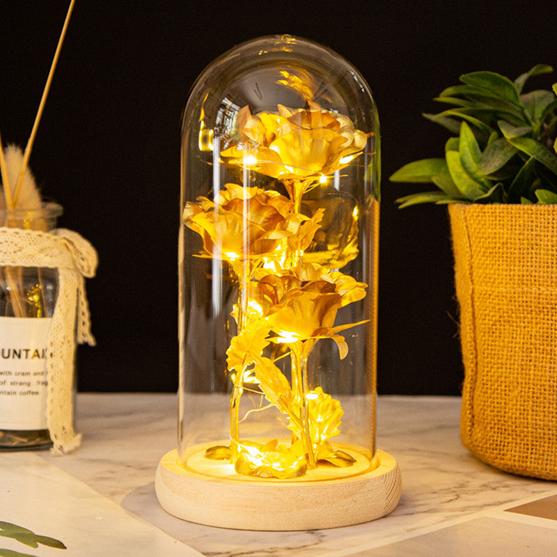 Valentine's Day Gift