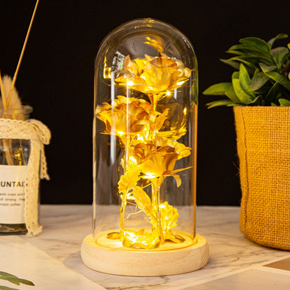 Valentine's Day Gift