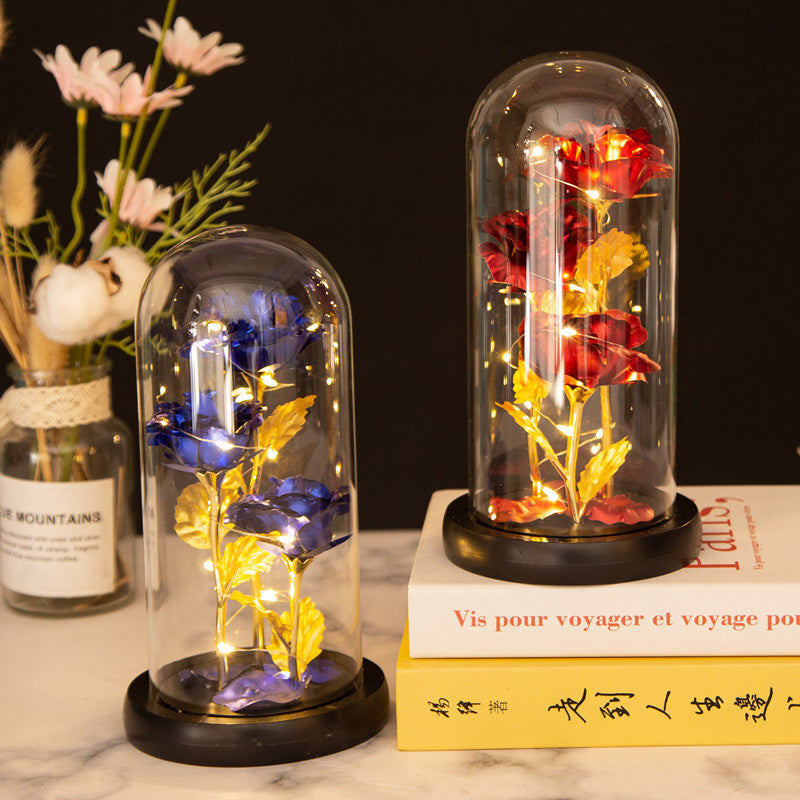 Valentine's Day Gift